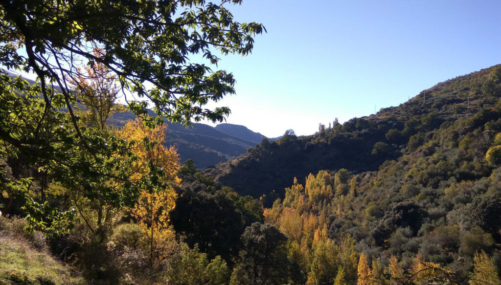 Güéjar-Sierra, Acequia de la solana, Tranvía de Sierra Nevada